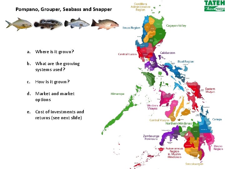 Pompano, Grouper, Seabass and Snapper a. Where is it grown? b. What are the