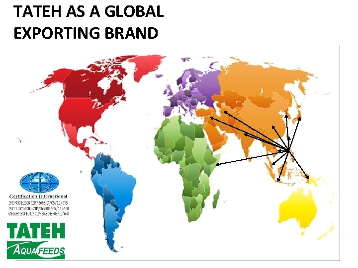 TATEH AS A GLOBAL EXPORTING BRAND 