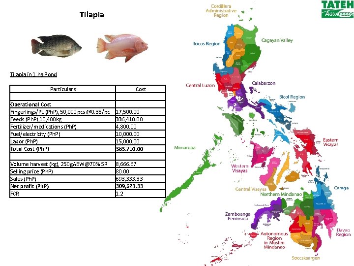 Tilapia in 1 ha Pond Particulars Cost Operational Cost Fingerlings/PL (Ph. P), 50, 000