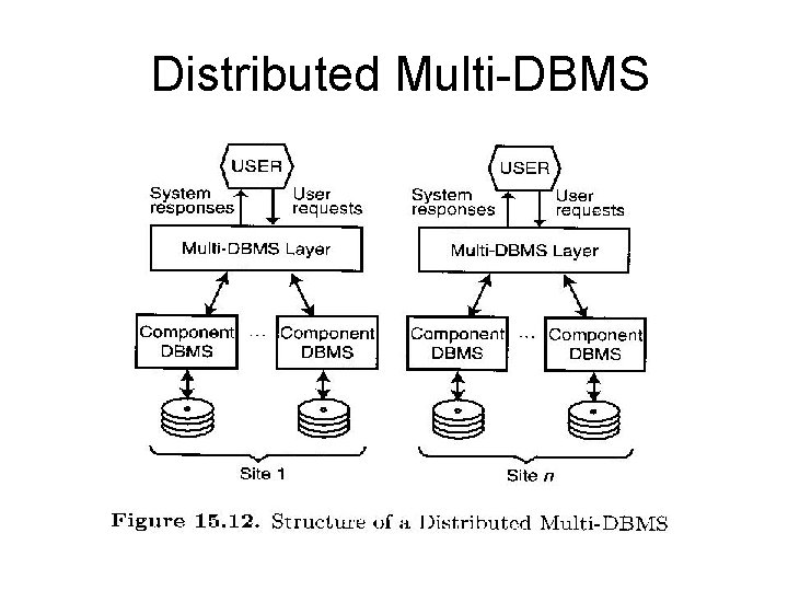 Distributed Multi-DBMS 