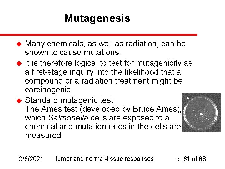 Mutagenesis u u u Many chemicals, as well as radiation, can be shown to