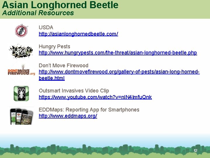 Asian Longhorned Beetle Additional Resources USDA http: //asianlonghornedbeetle. com/ Hungry Pests http: //www. hungrypests.