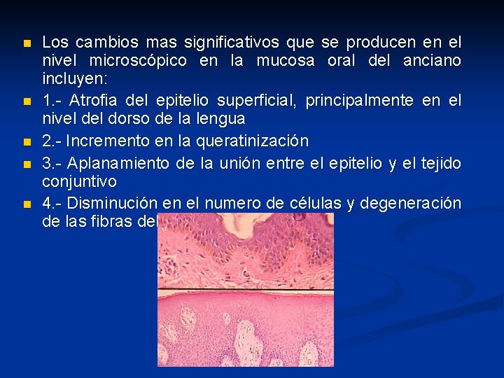 n n n Los cambios mas significativos que se producen en el nivel microscópico