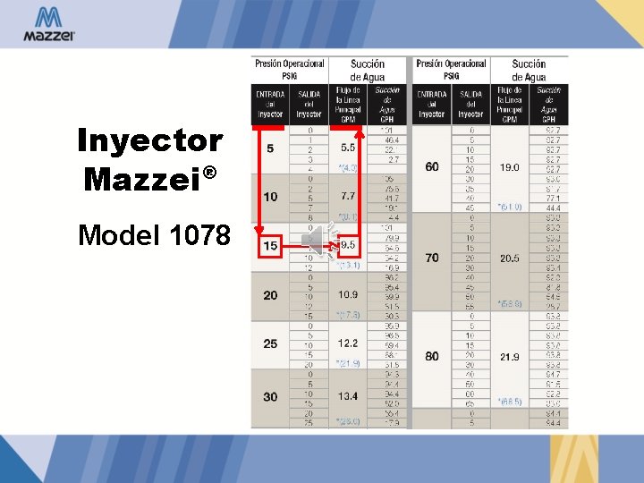 Inyector ® Mazzei Model 1078 