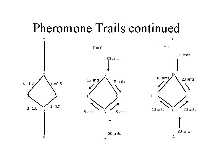 Pheromone Trails continued E E E T=1 T=0 30 ants D d=1. 0 d=0.