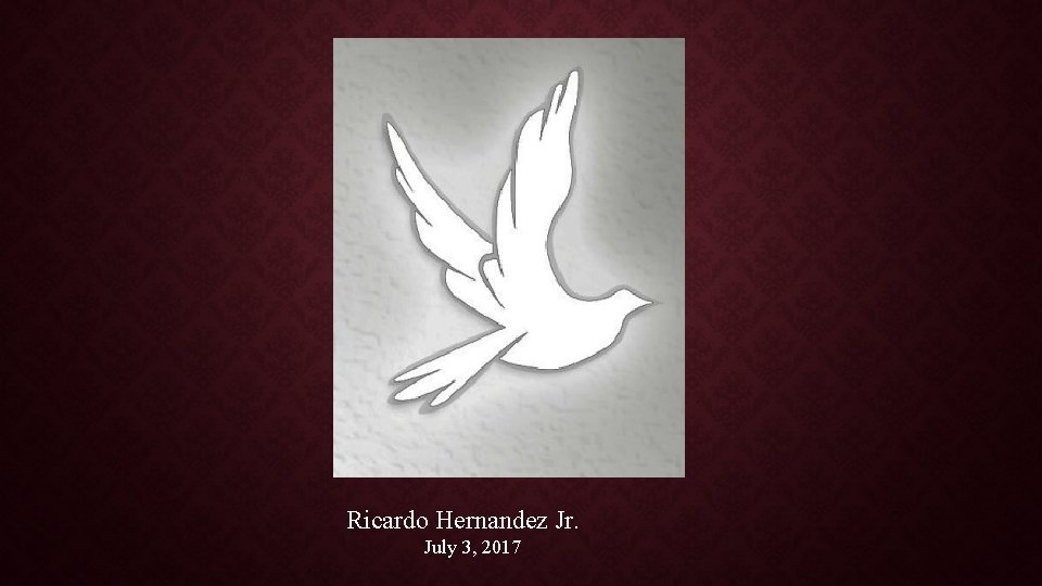 Ricardo Hernandez Jr. July 3, 2017 