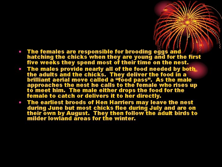  • The females are responsible for brooding eggs and hatching the chicks when