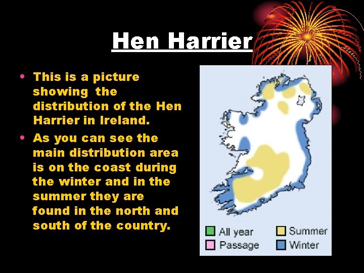 Hen Harrier • This is a picture showing the distribution of the Hen Harrier