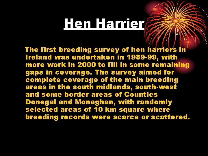 Hen Harrier The first breeding survey of hen harriers in Ireland was undertaken in