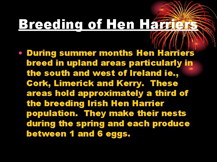 Breeding of Hen Harriers • During summer months Hen Harriers breed in upland areas