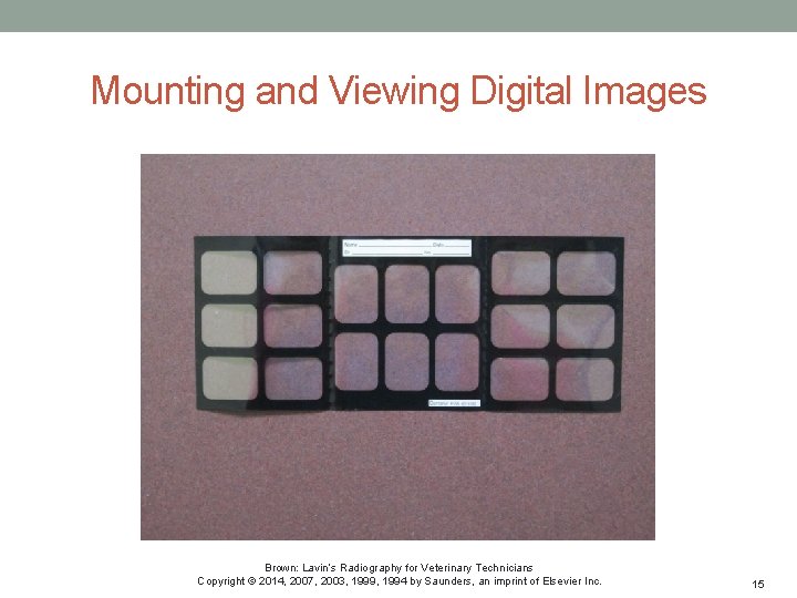 Mounting and Viewing Digital Images Brown: Lavin’s Radiography for Veterinary Technicians Copyright © 2014,