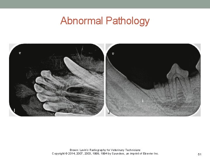 Abnormal Pathology Brown: Lavin’s Radiography for Veterinary Technicians Copyright © 2014, 2007, 2003, 1999,
