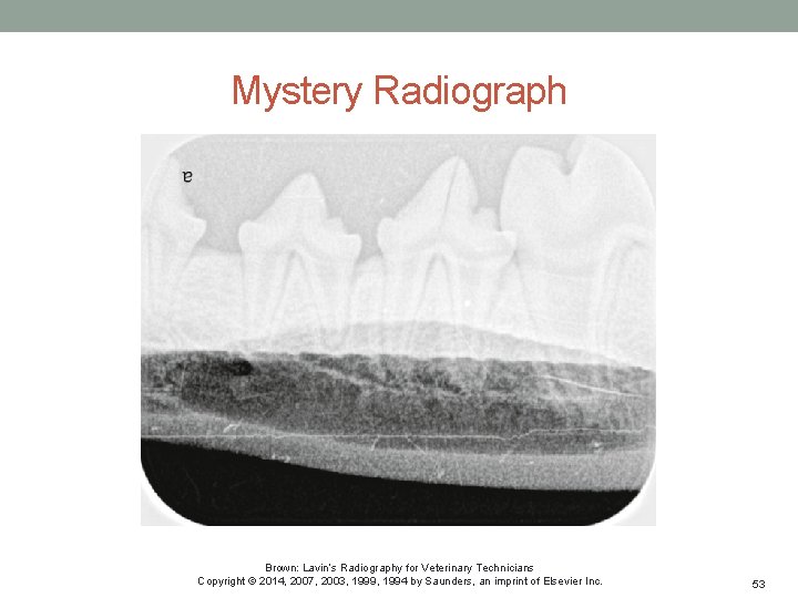 Mystery Radiograph Brown: Lavin’s Radiography for Veterinary Technicians Copyright © 2014, 2007, 2003, 1999,