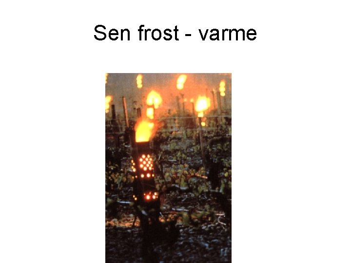 Sen frost - varme 