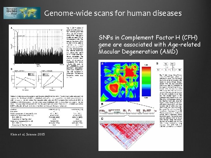 Genome-wide scans for human diseases SNPs in Complement Factor H (CFH) gene are associated