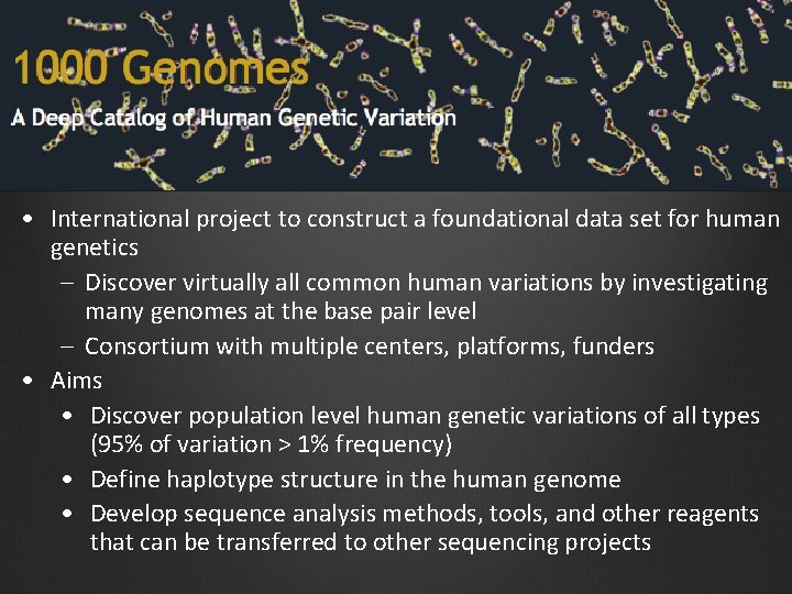 Intro • International project to construct a foundational data set for human genetics –