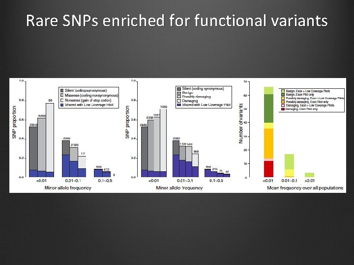 Rare SNPs enriched for functional variants 