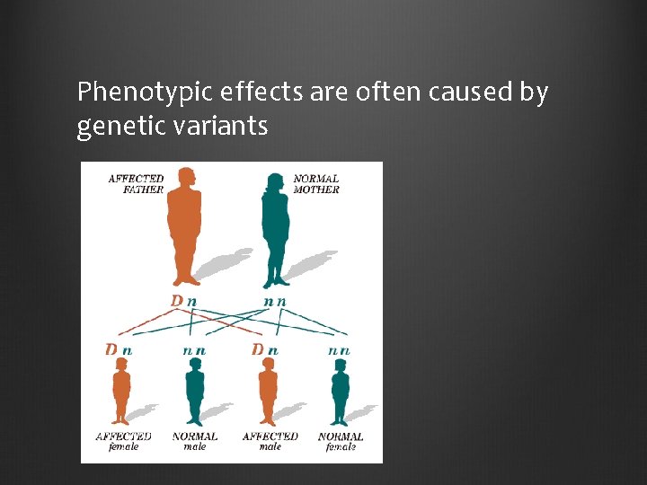 Phenotypic effects are often caused by genetic variants 