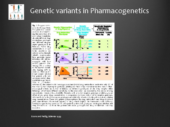 Genetic variants in Pharmacogenetics Evans and Rellig, Science 1999 