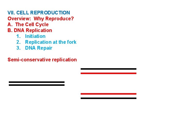 VII. CELL REPRODUCTION Overview: Why Reproduce? A. The Cell Cycle B. DNA Replication 1.