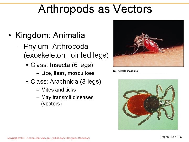 Arthropods as Vectors • Kingdom: Animalia – Phylum: Arthropoda (exoskeleton, jointed legs) • Class: