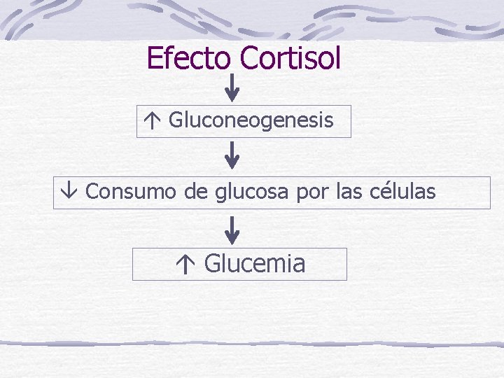 Efecto Cortisol Gluconeogenesis Consumo de glucosa por las células Glucemia 