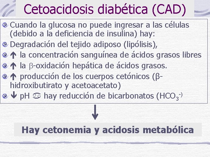 Cetoacidosis diabética (CAD) Cuando la glucosa no puede ingresar a las células (debido a