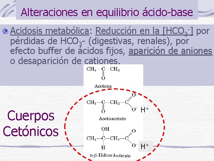 Alteraciones en equilibrio ácido-base Acidosis metabólica: Reducción en la [HCO 3 -] por pérdidas