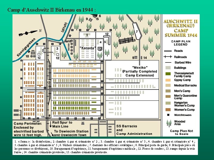 Camp d’Auschwitz II Birkenau en 1944 : 1. « Sauna » : la désinfection