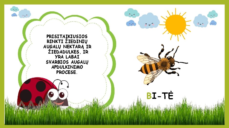 PRISITAIKIUSIOS RINKTI ŽIEDINIŲ AUGALŲ NEKTARĄ IR ŽIEDADULKES, IR YRA LABAI SVARBIOS AUGALŲ APDULKINIMO PROCESE.