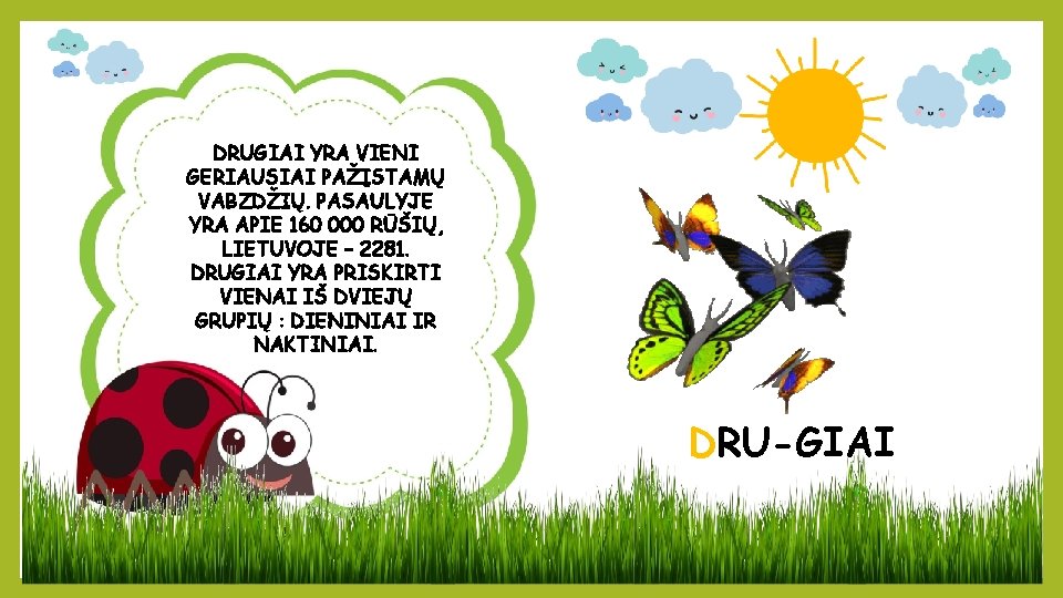 DRUGIAI YRA VIENI GERIAUSIAI PAŽĮSTAMŲ VABZDŽIŲ. PASAULYJE YRA APIE 160 000 RŪŠIŲ, LIETUVOJE –