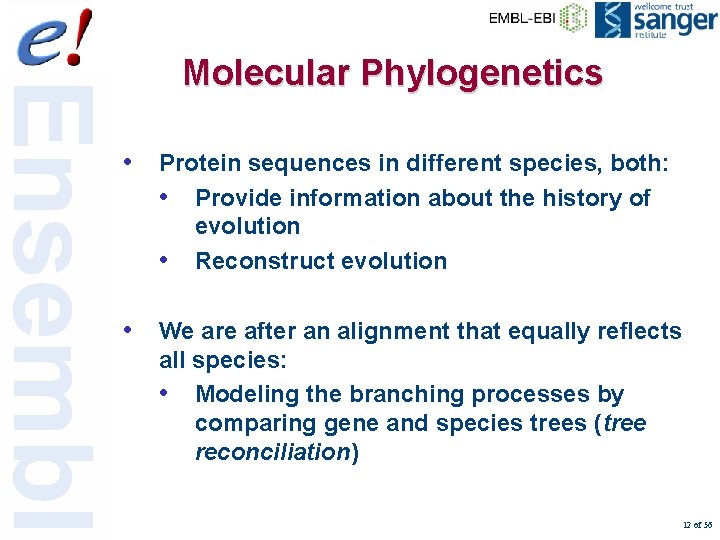 Molecular Phylogenetics • Protein sequences in different species, both: • Provide information about the
