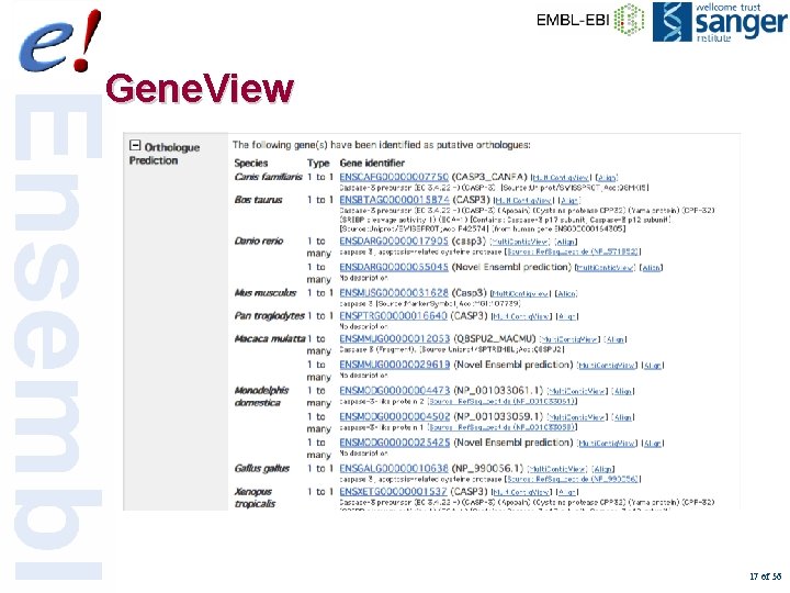 Gene. View 17 of 56 