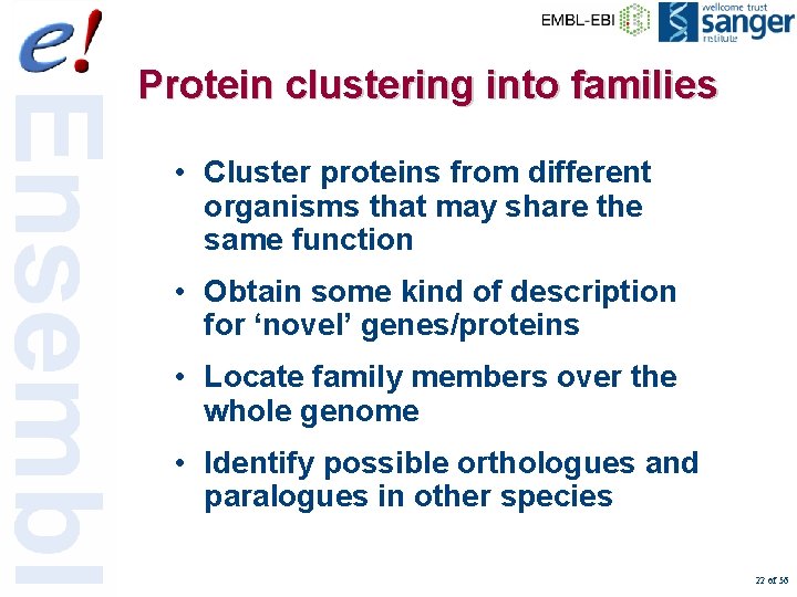 Protein clustering into families • Cluster proteins from different organisms that may share the