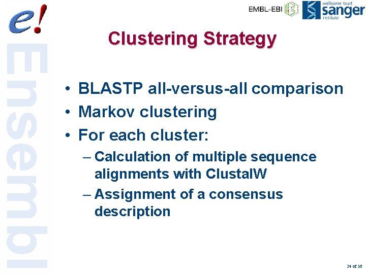 Clustering Strategy • BLASTP all-versus-all comparison • Markov clustering • For each cluster: –