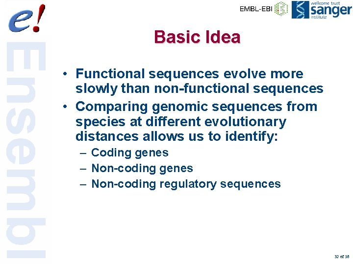 Basic Idea • Functional sequences evolve more slowly than non-functional sequences • Comparing genomic