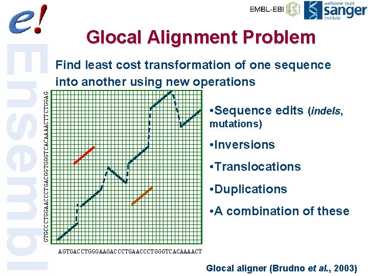 Glocal Alignment Problem GTGCCCTGGAACCCTGACGGTGGGTCACAAAACTTCTGGAG Find least cost transformation of one sequence into another using