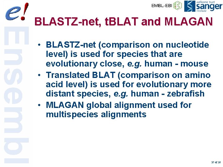 BLASTZ-net, t. BLAT and MLAGAN • BLASTZ-net (comparison on nucleotide level) is used for