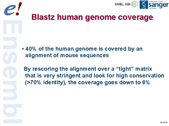 Blastz human genome coverage • 40% of the human genome is covered by an