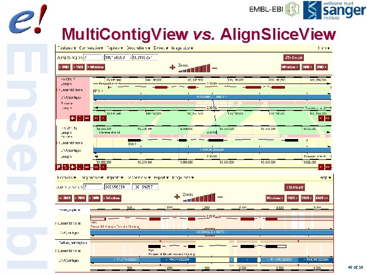 Multi. Contig. View vs. Align. Slice. View 48 of 56 