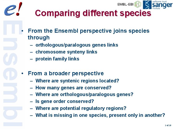Comparing different species • From the Ensembl perspective joins species through – orthologous/paralogous genes
