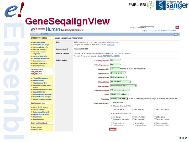 Gene. Seqalign. View 50 of 56 