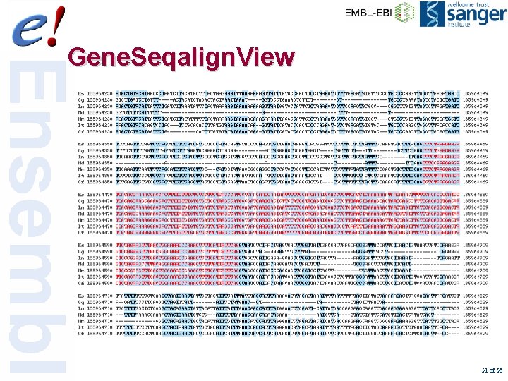 Gene. Seqalign. View 51 of 56 