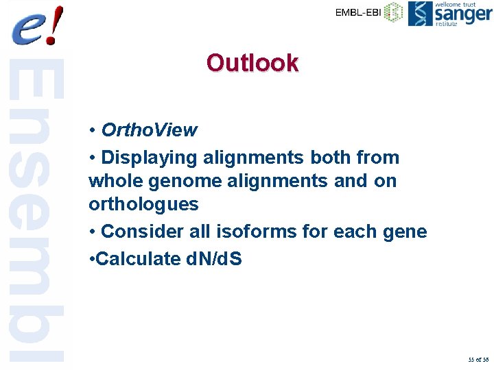 Outlook • Ortho. View • Displaying alignments both from whole genome alignments and on