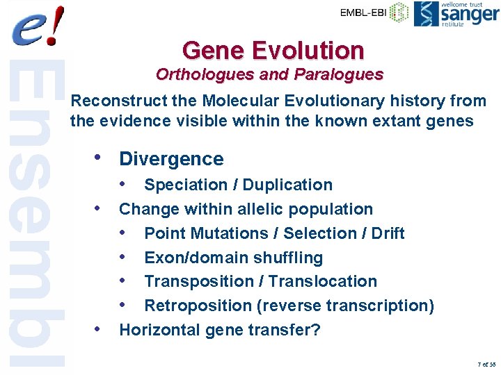 Gene Evolution Orthologues and Paralogues Reconstruct the Molecular Evolutionary history from the evidence visible