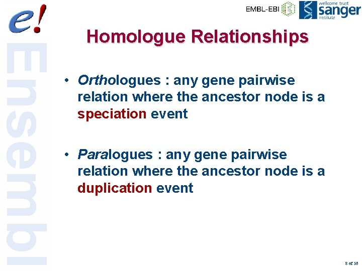 Homologue Relationships • Orthologues : any gene pairwise relation where the ancestor node is