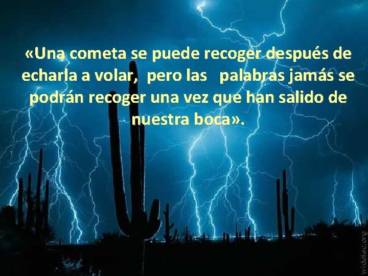  «Una cometa se puede recoger después de echarla a volar, pero las palabras