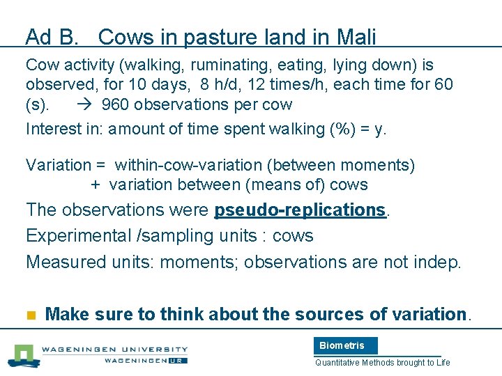 Ad B. Cows in pasture land in Mali Cow activity (walking, ruminating, eating, lying