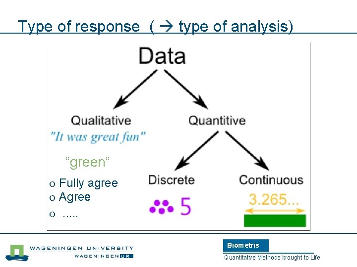 Type of response ( type of analysis) “green” Fully agree Agree . . .