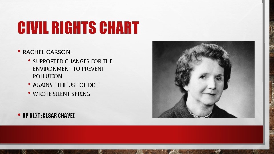 CIVIL RIGHTS CHART • RACHEL CARSON: • SUPPORTED CHANGES FOR THE ENVIRONMENT TO PREVENT
